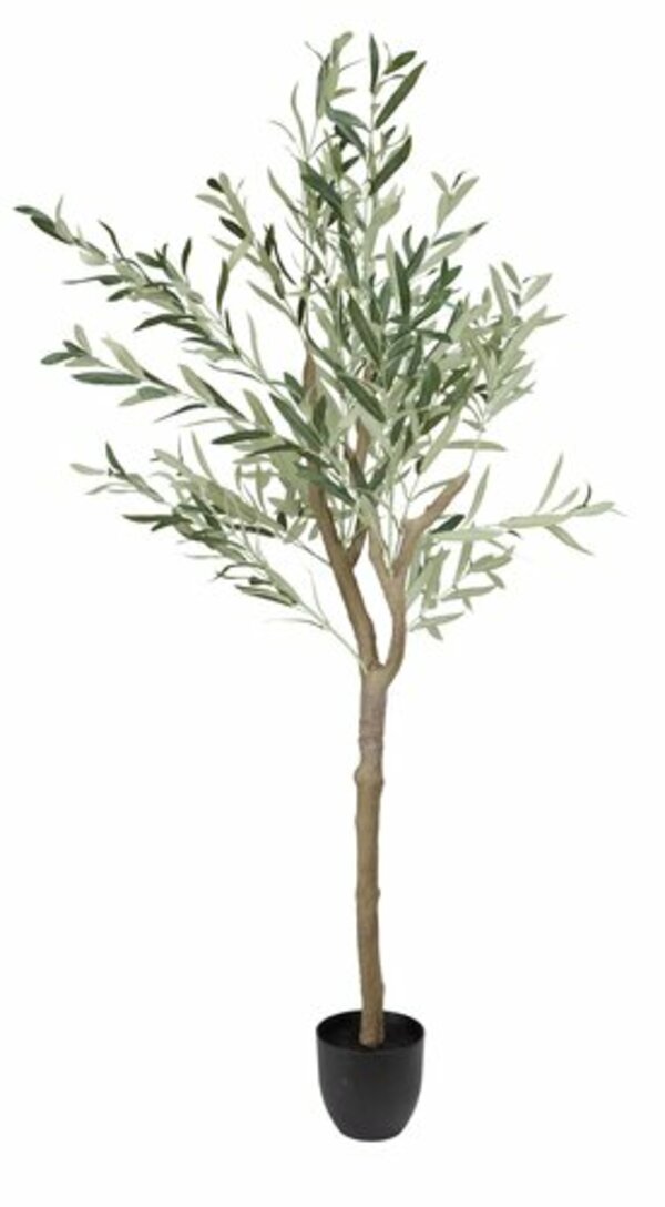 Bild 1 von Kunstpflanze HAVHEST H155cm olivgrün