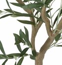 Bild 3 von Kunstpflanze HAVHEST H155cm olivgrün