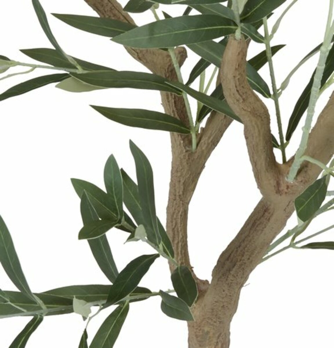 Bild 3 von Kunstpflanze HAVHEST H155cm olivgrün