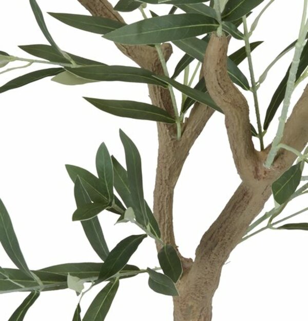 Bild 3 von Kunstpflanze HAVHEST H155cm olivgrün