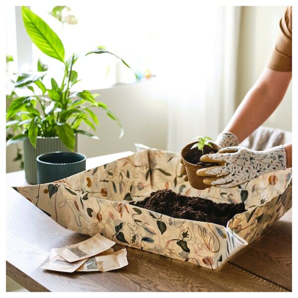 Bild 2 von DAKSJUS  Pflanzunterlage