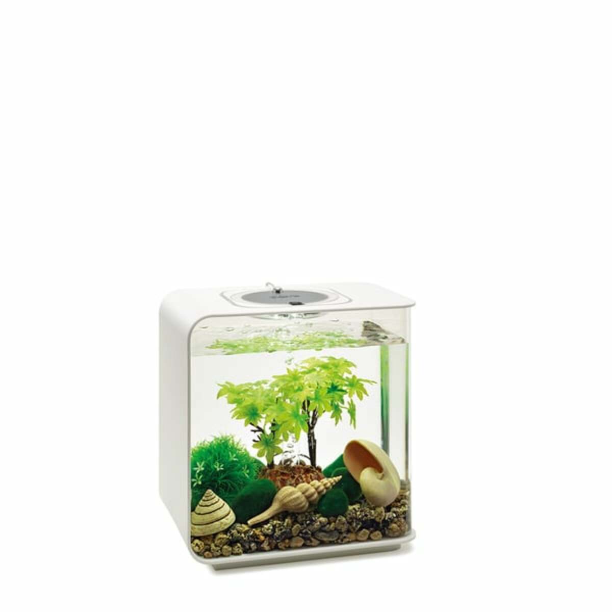 Bild 3 von biOrb Decor Set Jahreszeiten 15L Sommer