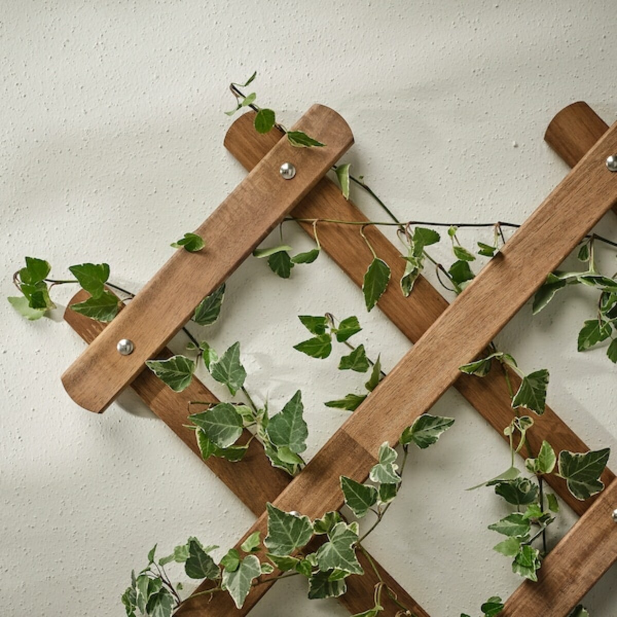 Bild 2 von ASKHOLMEN  Spalier