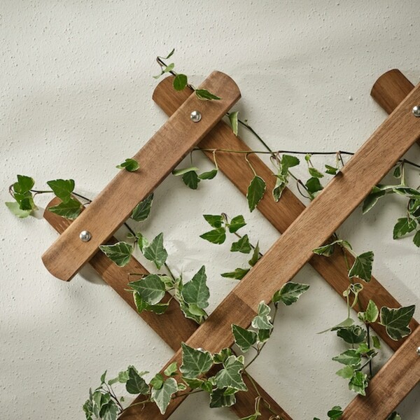 Bild 2 von ASKHOLMEN  Spalier