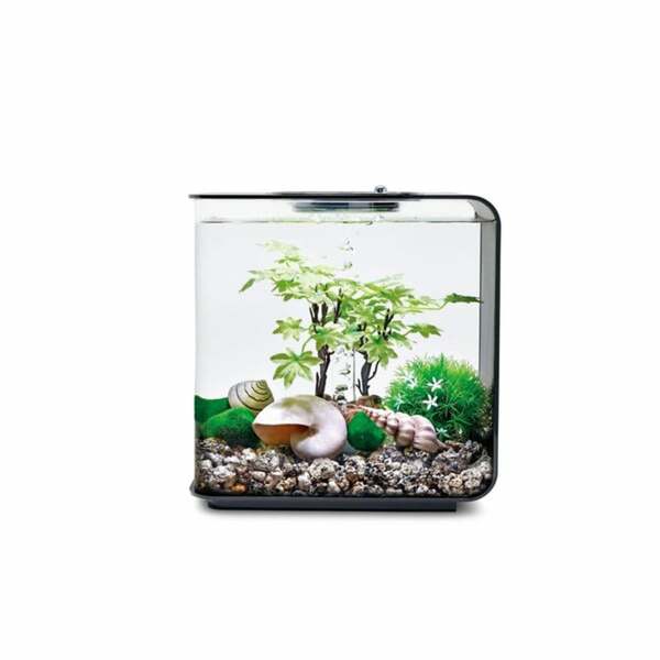 Bild 4 von biOrb Decor Set Jahreszeiten 15L Sommer