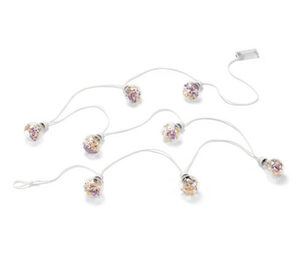 LED-Lichterkette mit Trockenblumen