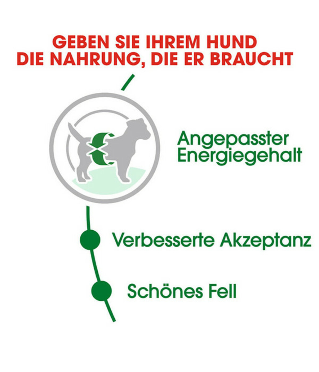 Bild 2 von ROYAL CANIN® Trockenfutter für Hunde Mini Adult