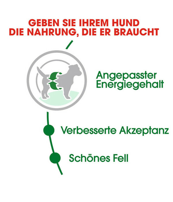 Bild 2 von ROYAL CANIN® Trockenfutter für Hunde Mini Adult