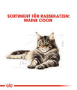 Bild 3 von ROYAL CANIN® Trockenfutter für Katzen Maine Coon Adult