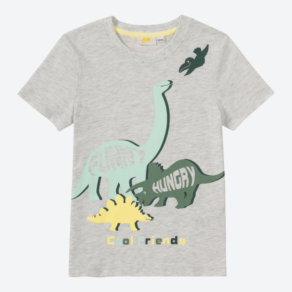 Bild 1 von Jungen-T-Shirt mit Dino-Frontaufdruck, Light-gray