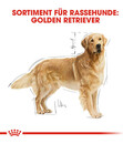 Bild 3 von ROYAL CANIN® Trockenfutter für Hunde Golden Retriever Adult