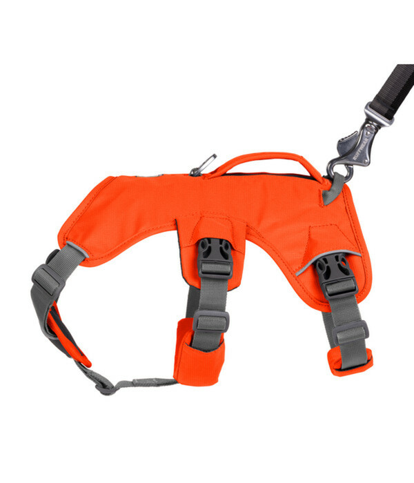Bild 3 von RUFFWEAR® Hundegeschirr Web Master™ Blaze Orange