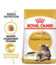 Bild 2 von ROYAL CANIN® Trockenfutter für Katzen Maine Coon Adult