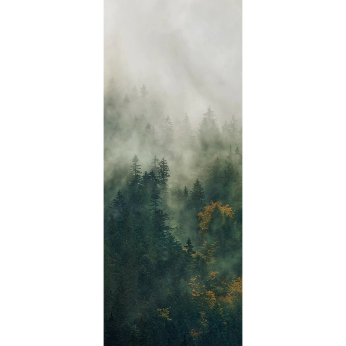 Bild 1 von Komar Fototapete Vlies Tales of the Carpathians Panel 100 x 250 cm