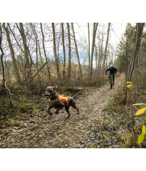 Bild 2 von RUFFWEAR® Hundegeschirr Web Master™ Blaze Orange