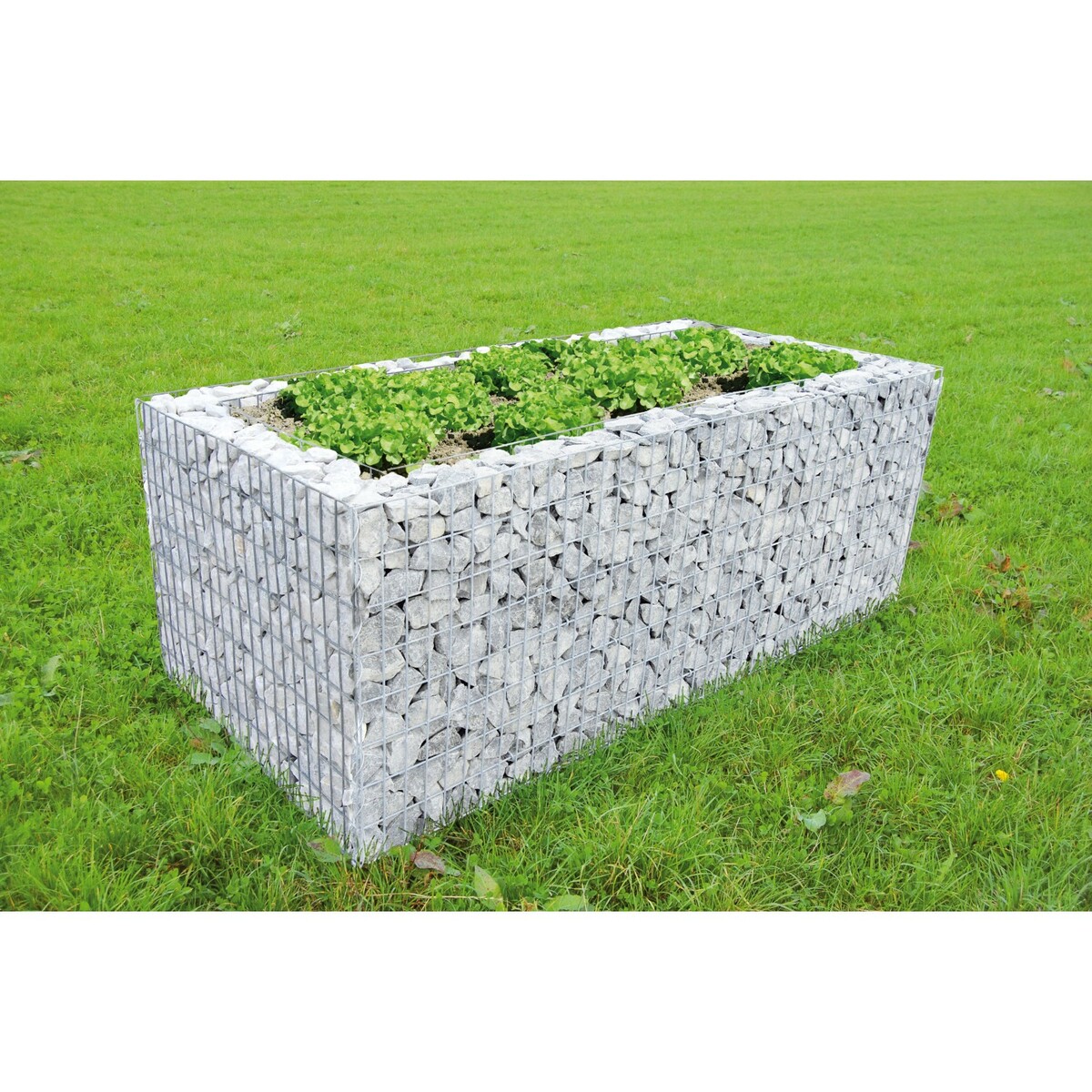 GabionenHochbeet B 200 cm x T 100 cm x H 80 cm von OBI für 299,99