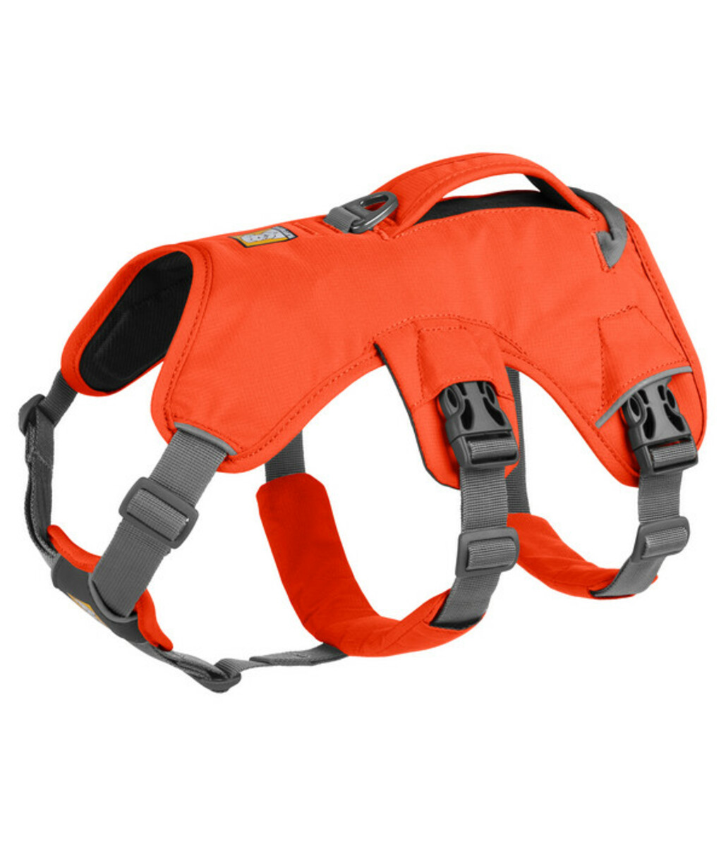 Bild 1 von RUFFWEAR® Hundegeschirr Web Master™ Blaze Orange