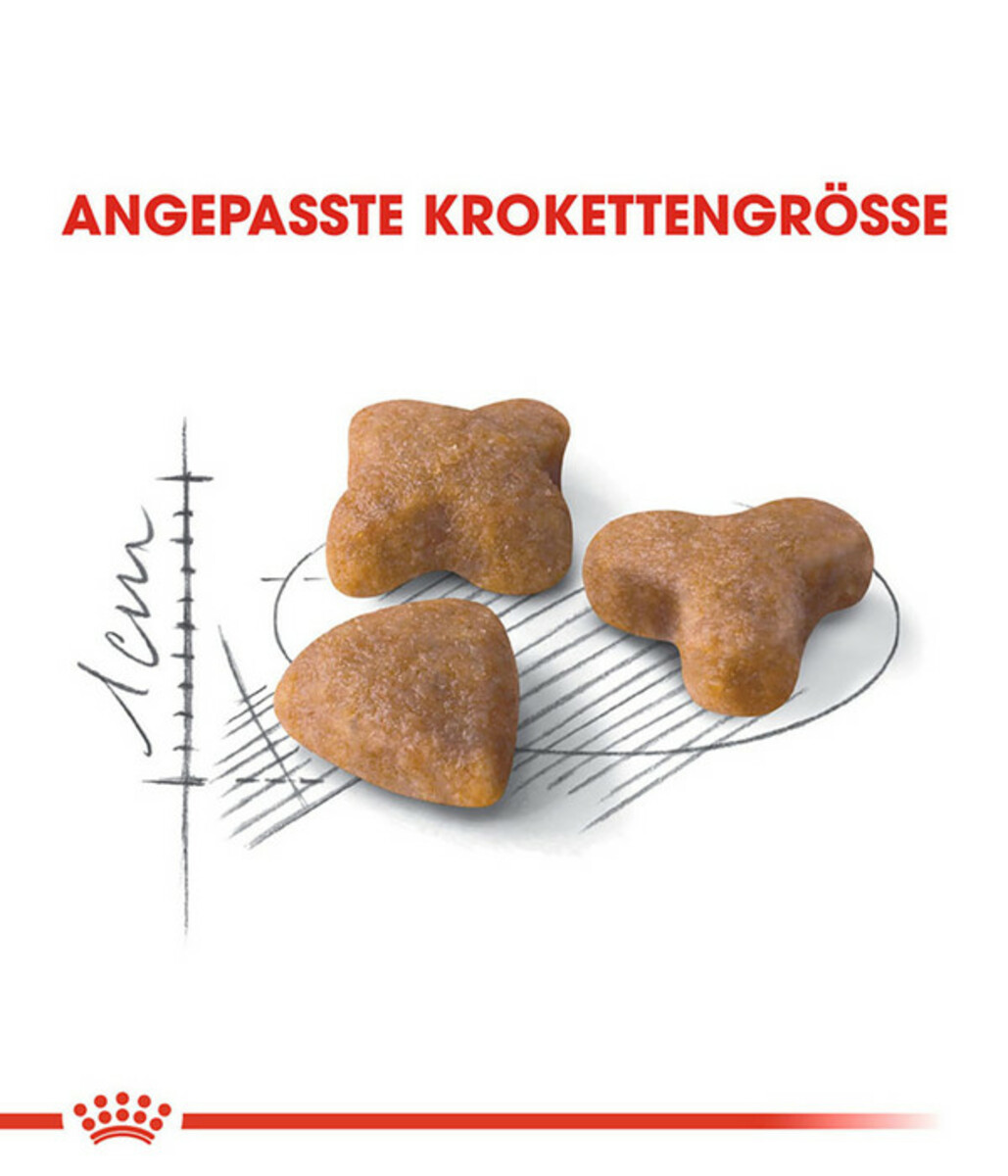 Bild 4 von ROYAL CANIN® Trockenfutter für Katzen Sensible 33