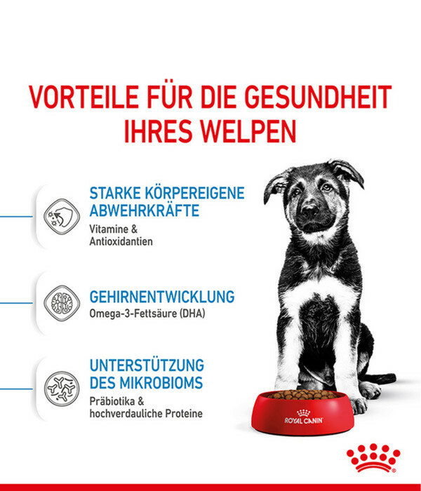Bild 3 von ROYAL CANIN® Trockenfutter für Hunde Maxi Puppy