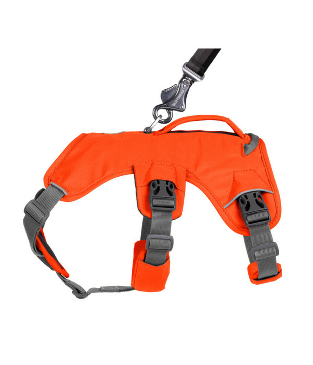 Bild 4 von RUFFWEAR® Hundegeschirr Web Master™ Blaze Orange