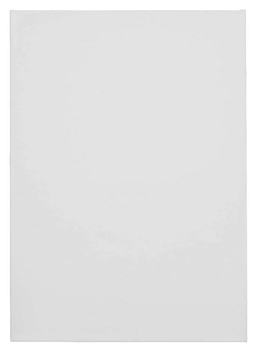 Bild 1 von TALENTUS® Leinwand