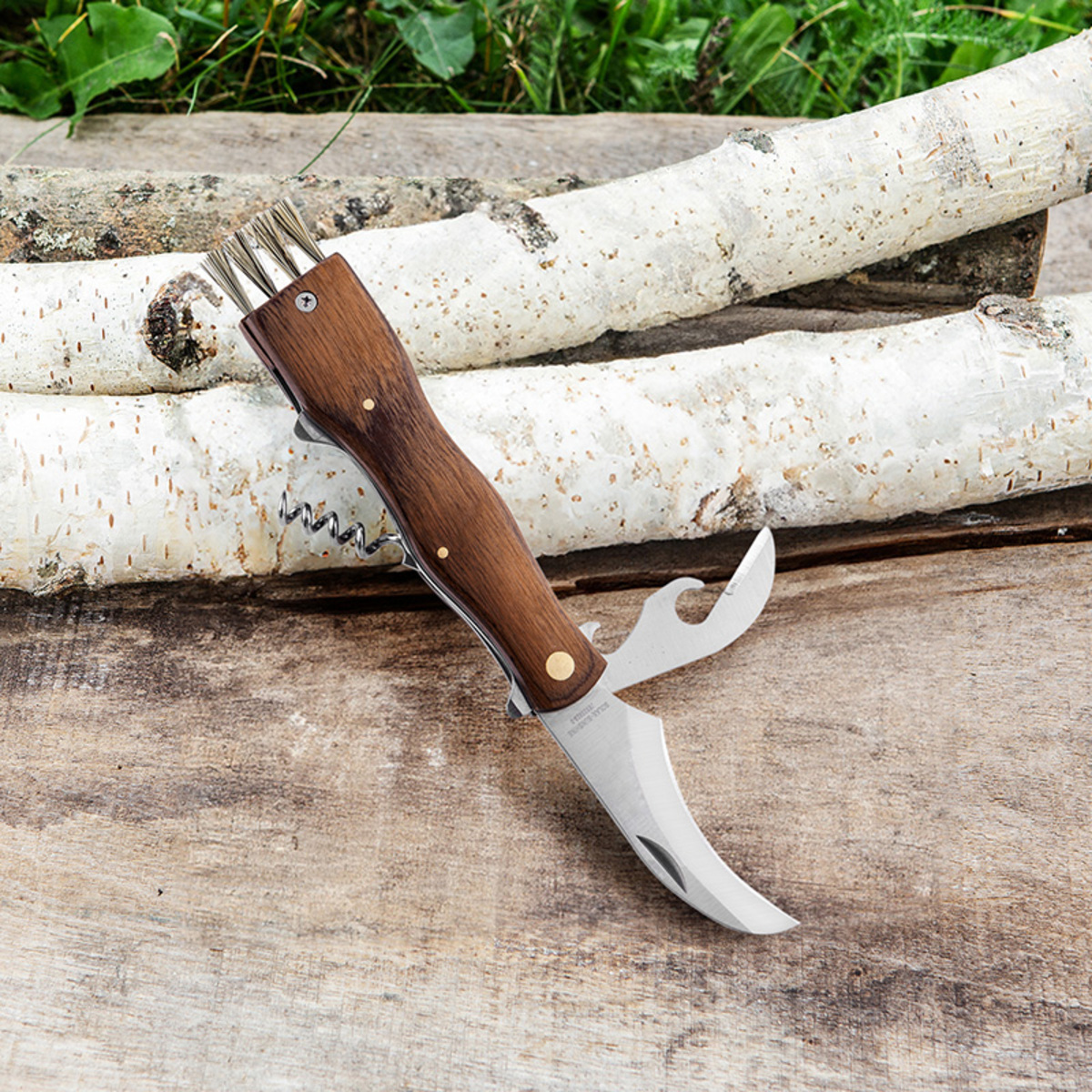 Bild 1 von Solax Sunshine Pilzmesser-Multitool