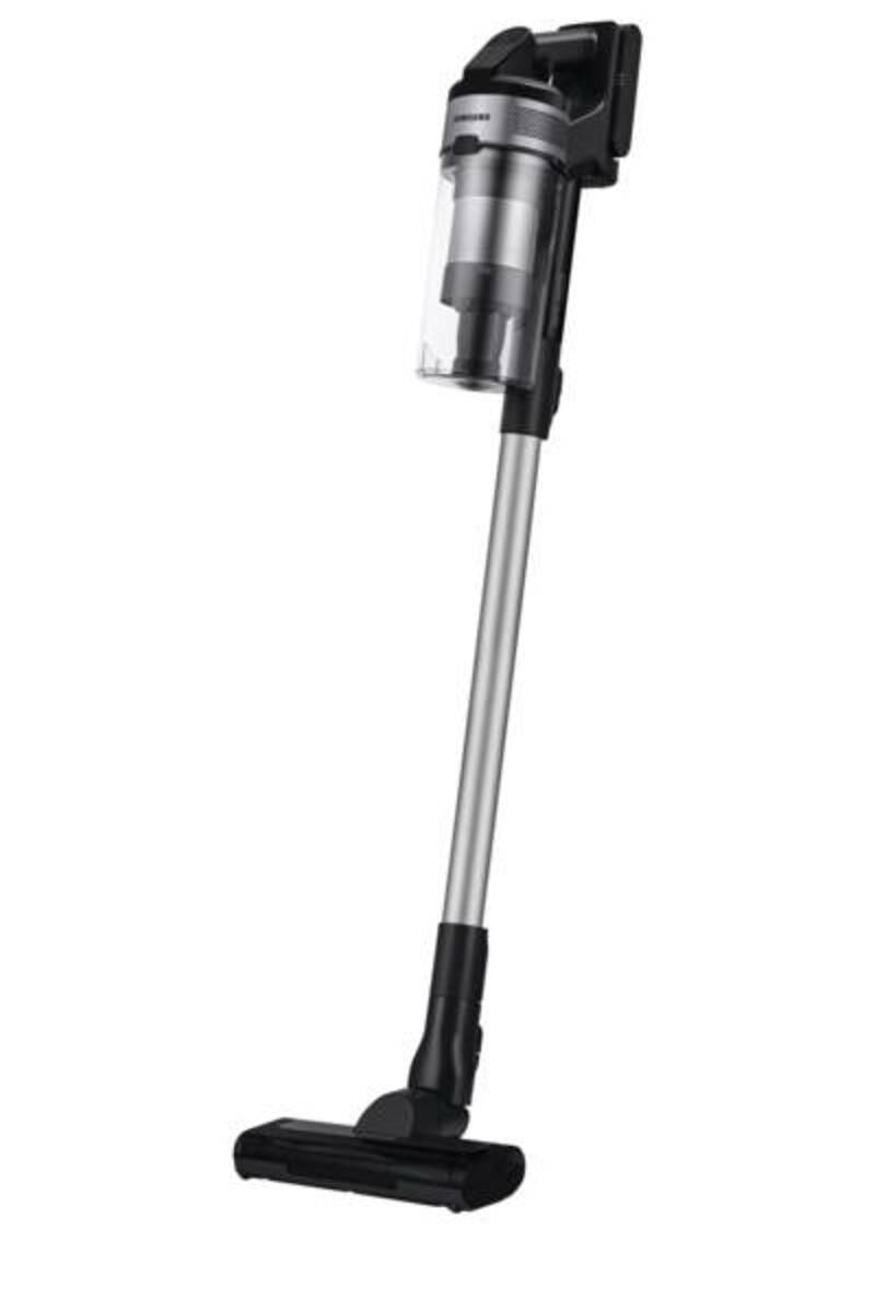 Bild 1 von Samsung VS15A60BGR5/WD Jet 65 pet