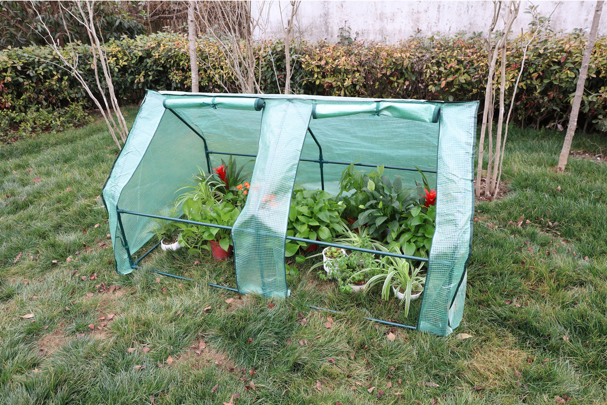 Bild 2 von Green Yard Tomatengewächshaus, ca. 180 x 90 x 90 cm