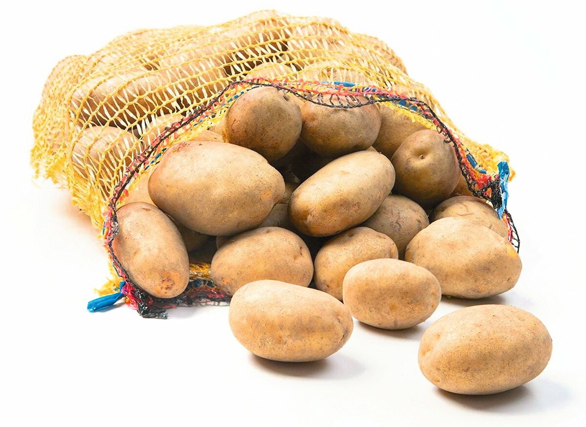 Bild 1 von Pflanzkartoffeln 5 kg