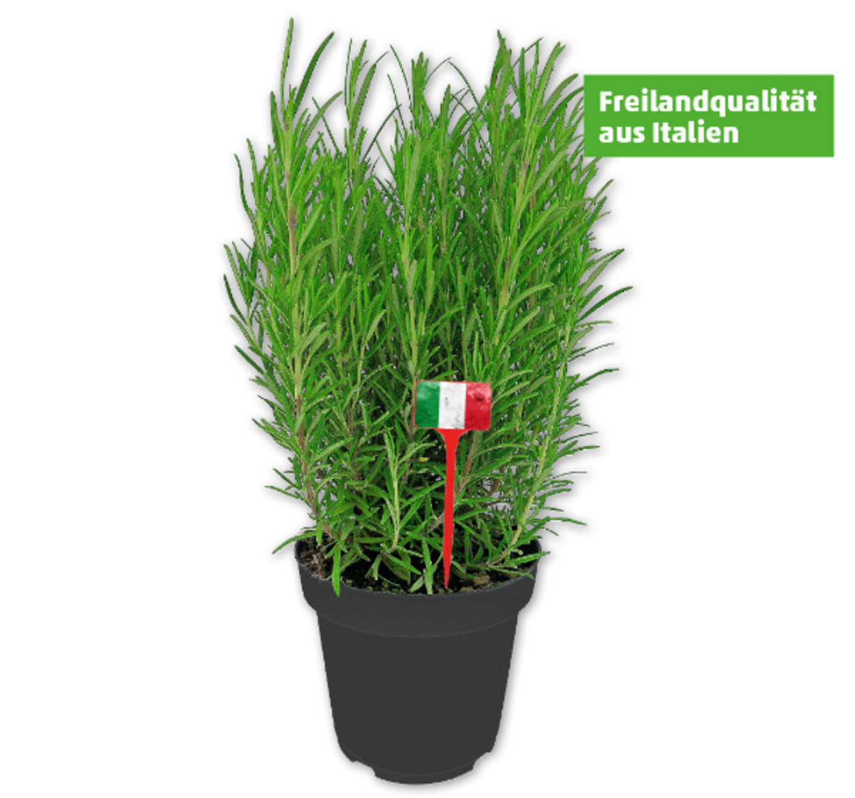 Bild 1 von Italienische Kräuter*