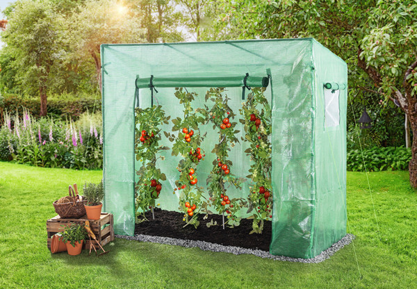 Bild 2 von Powertec Garden Tomatengewächshaus