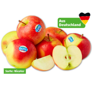 Deutsche rote Äpfel Kanzi*