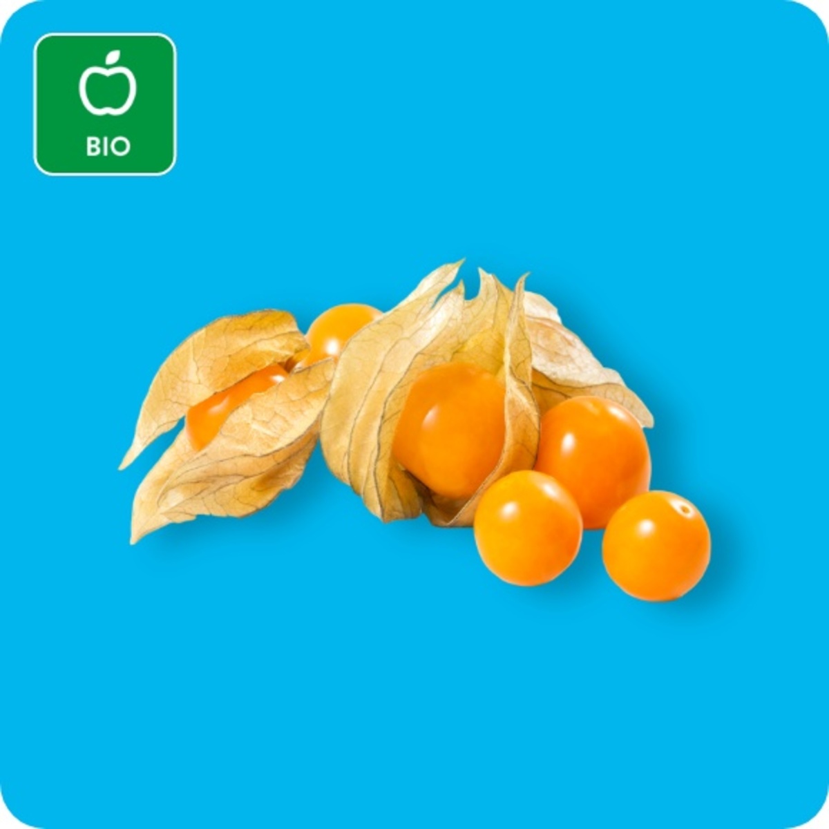 Bild 1 von   Bio-Physalis / Physalis, Ursprung: Kolumbien / Peru