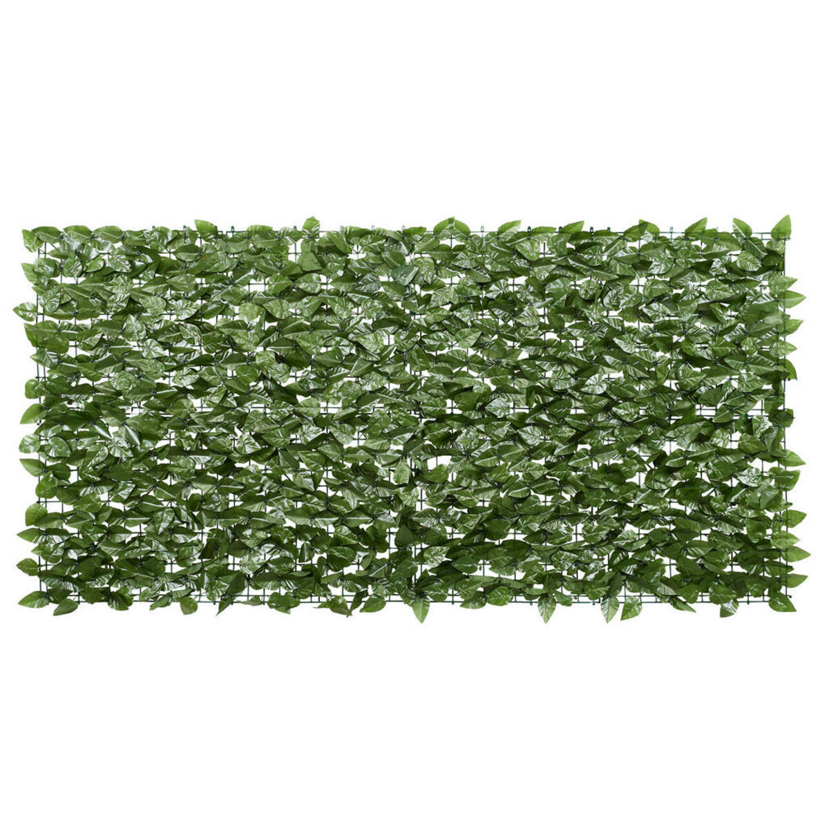 Bild 1 von Garden Deluxe Dekozaun Lorbeerblatt grün B/H/L: ca. 100x0,3x300 cm