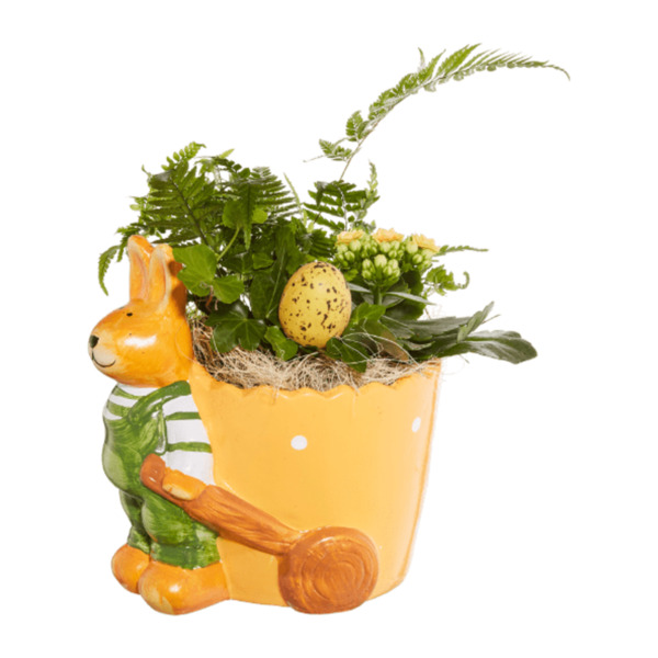 Bild 3 von GARDENLINE Bepflanztes Ostergefäß