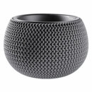 Bild 2 von Powertec Garden Pflanzgefäß "Bowl"