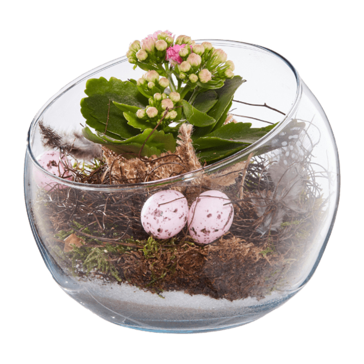 Bild 2 von GARDENLINE Bepflanztes Osterglas