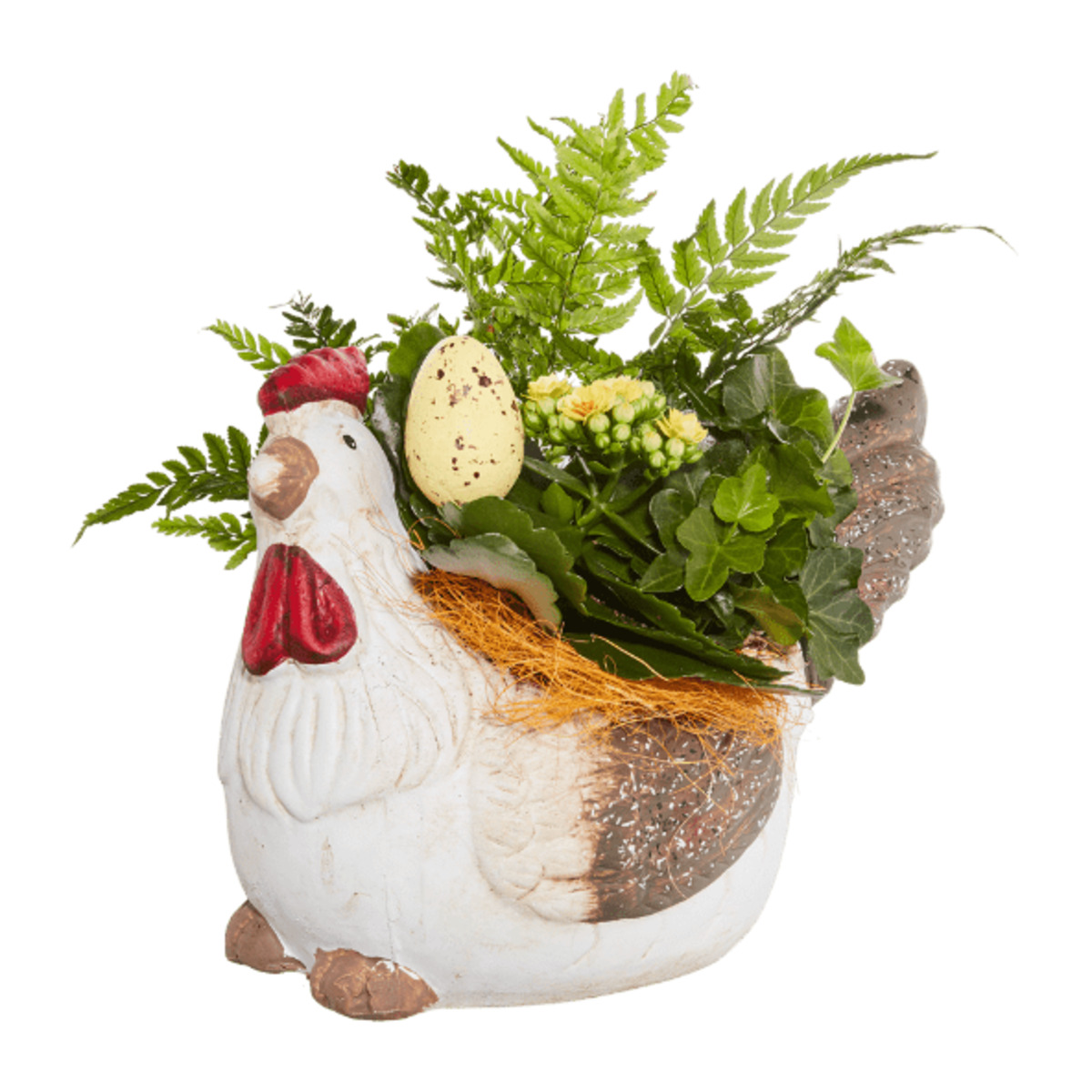 Bild 4 von GARDENLINE Bepflanztes Ostergefäß