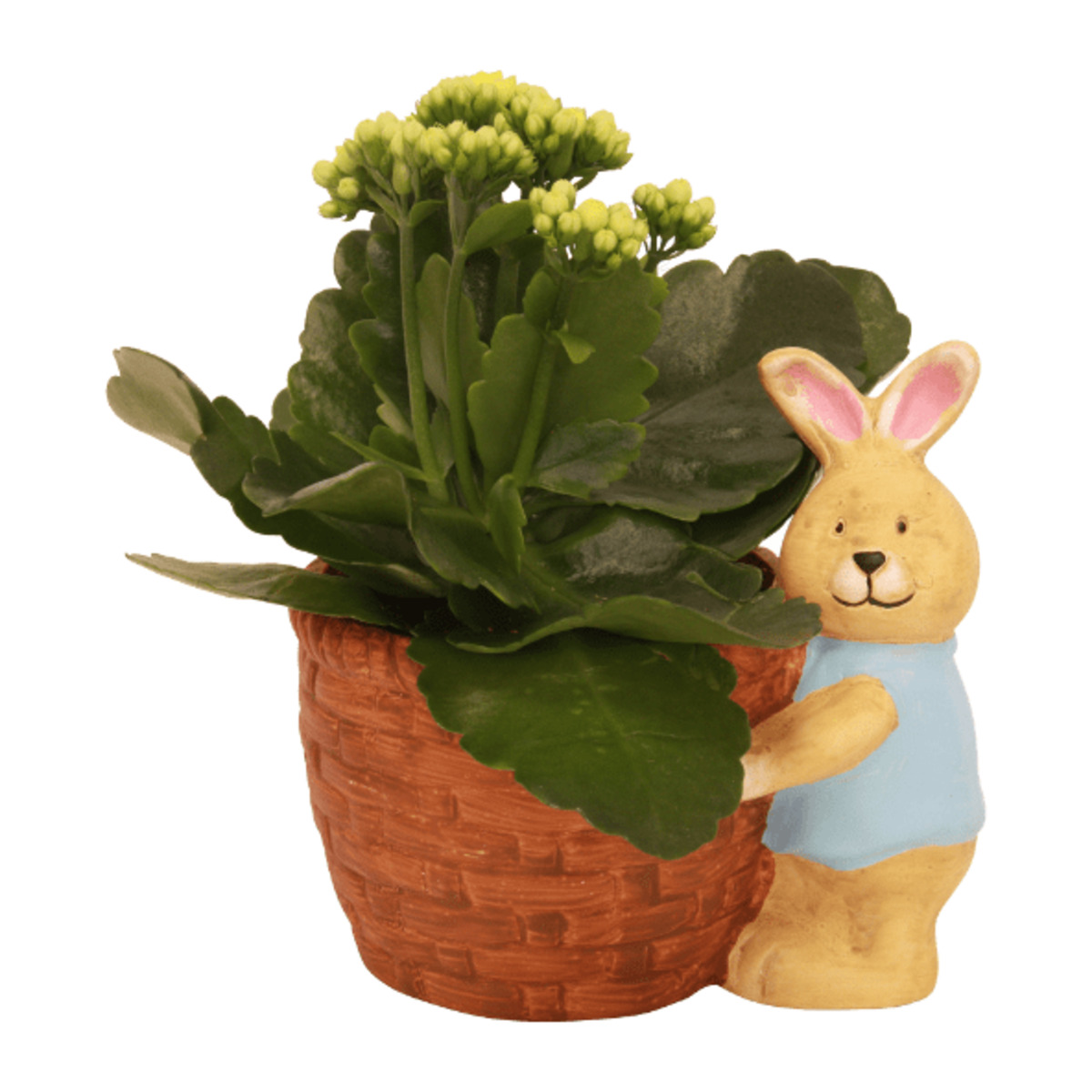 Bild 4 von GARDENLINE Bepflanzte Osterkeramik