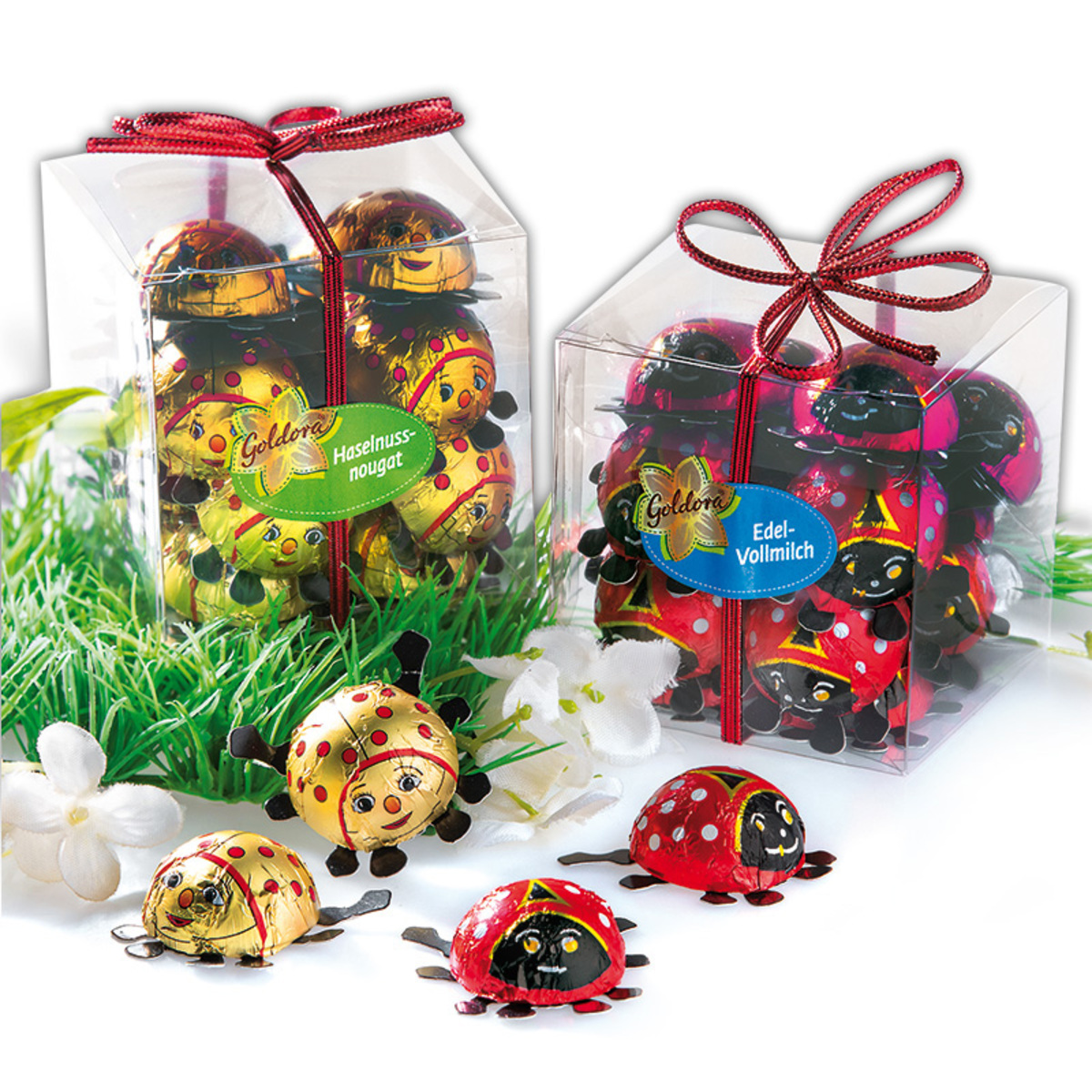 Bild 1 von Goldora Glückskäfer