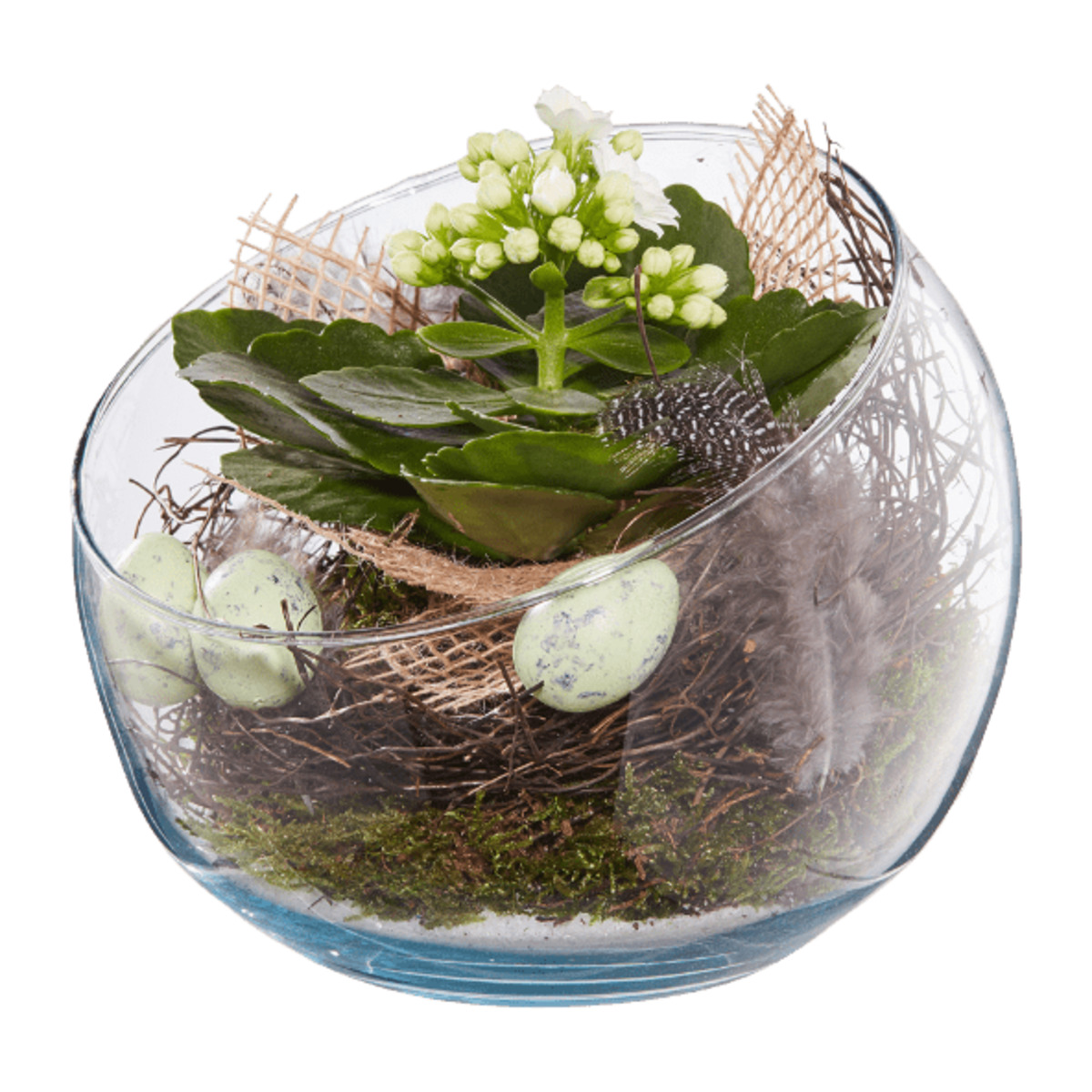 Bild 3 von GARDENLINE Bepflanztes Osterglas