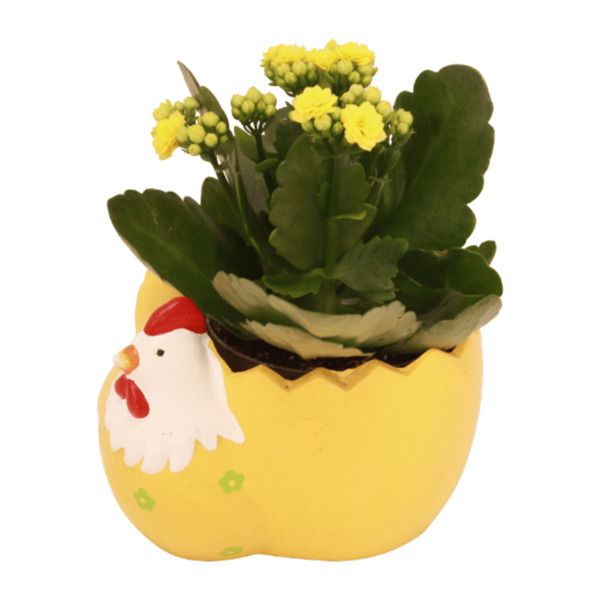 Bild 3 von GARDENLINE Bepflanzte Osterkeramik