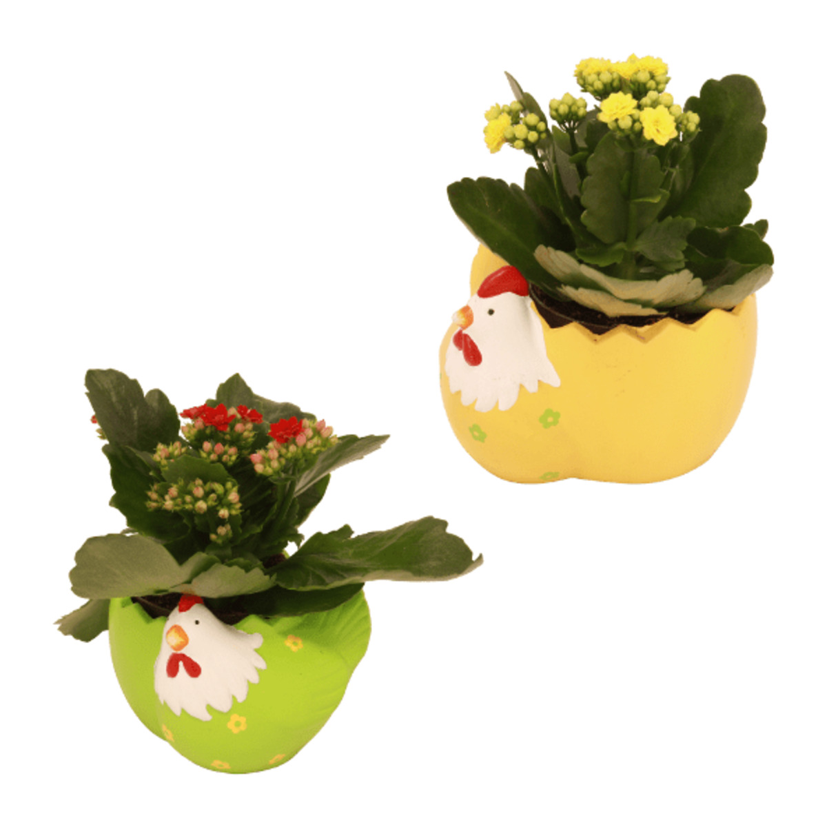 Bild 1 von GARDENLINE Bepflanzte Osterkeramik