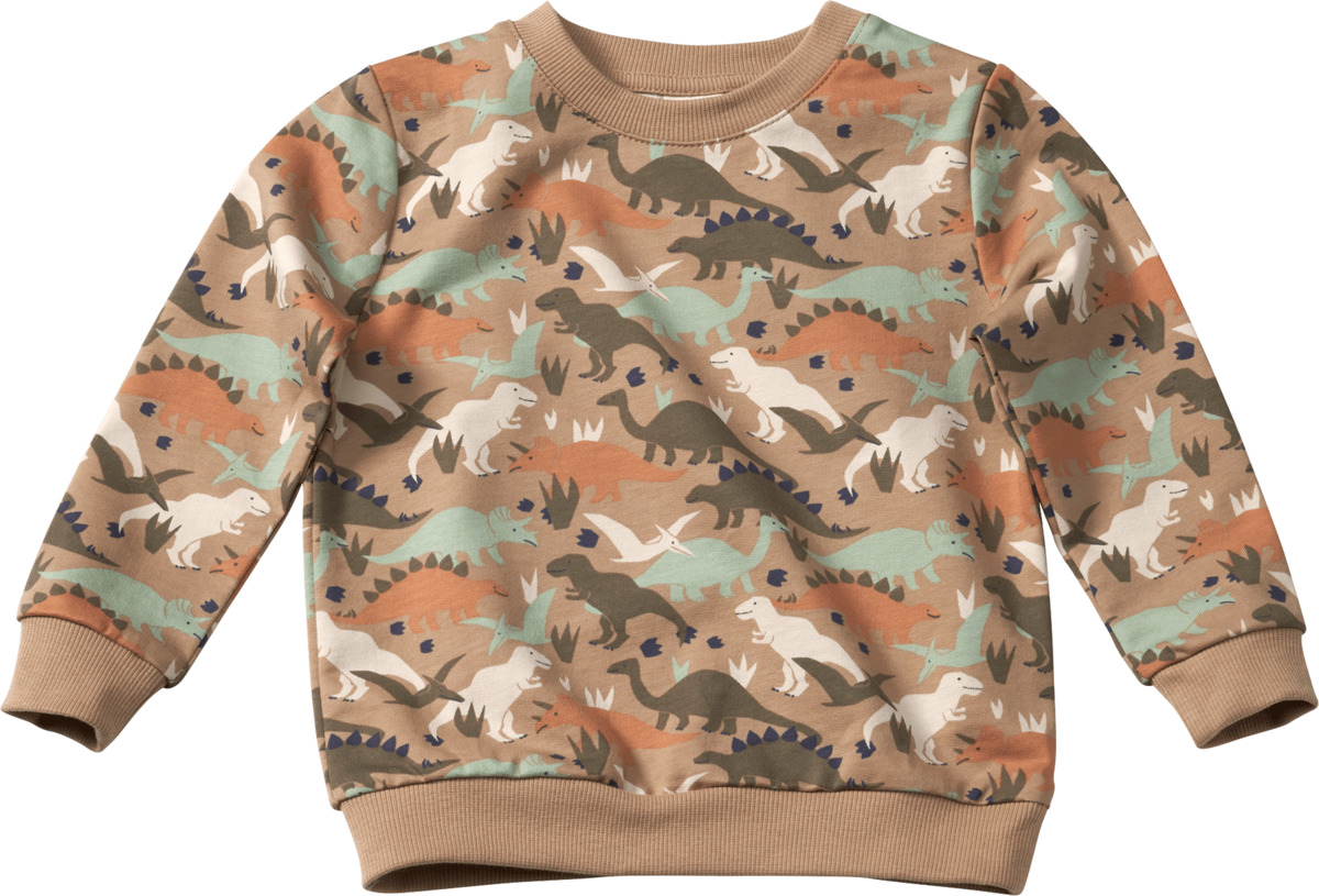 Bild 1 von ALANA Sweatshirt Pro Climate mit Dino-Muster, grün, Gr. 74