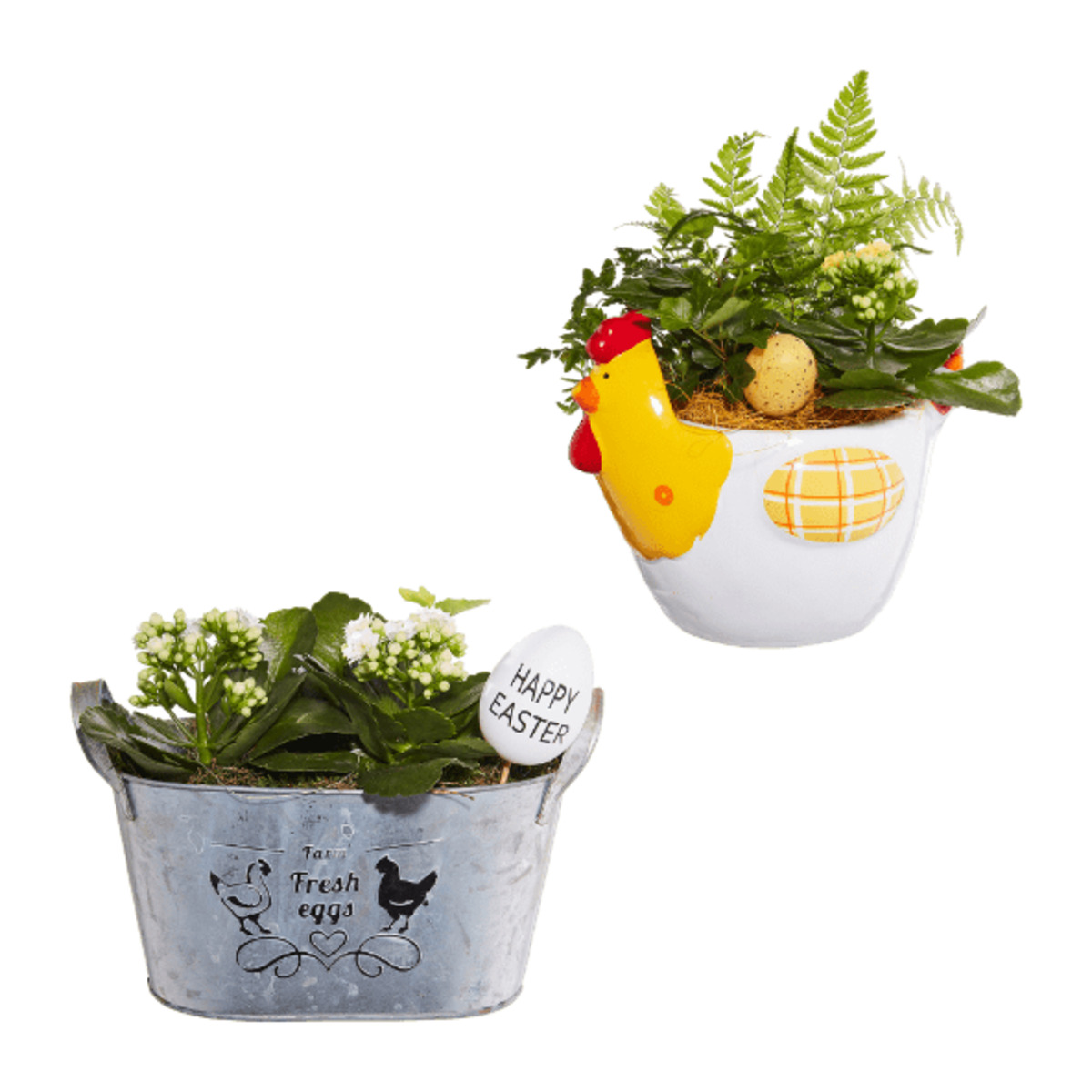 Bild 1 von GARDENLINE Bepflanztes Ostergefäß