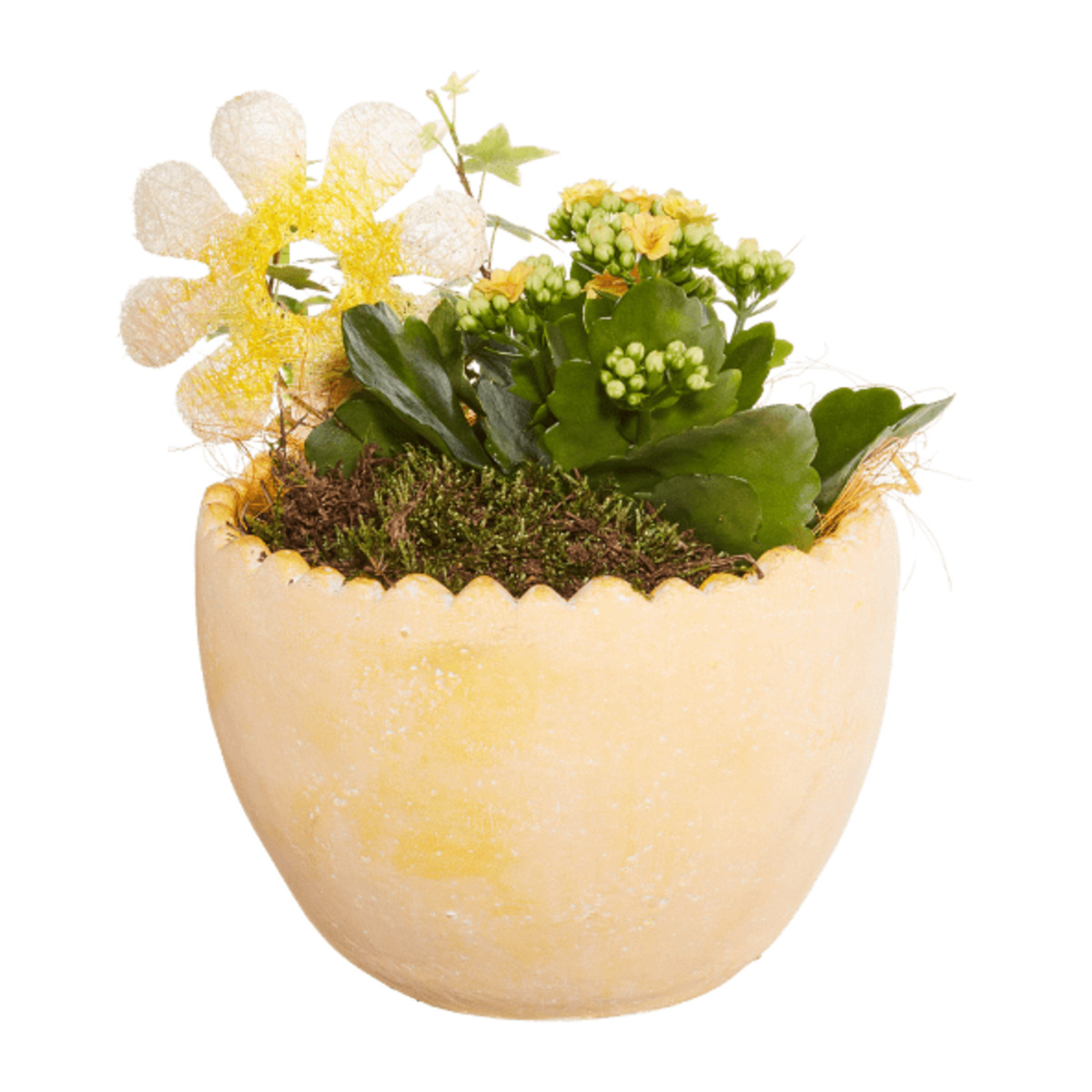 Bild 2 von GARDENLINE Bepflanztes Ostergefäß