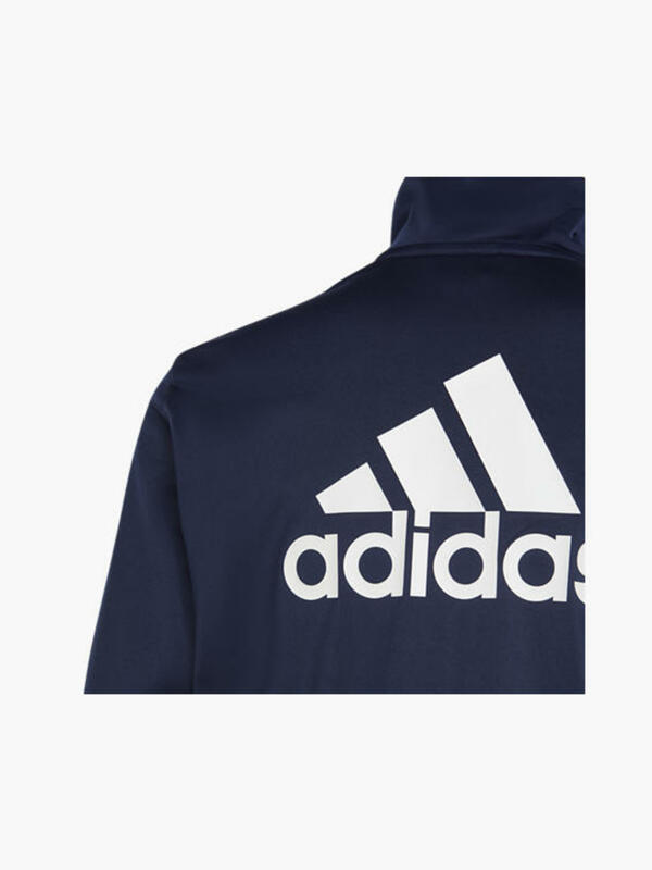 Bild 3 von adidas Trainingsanzug