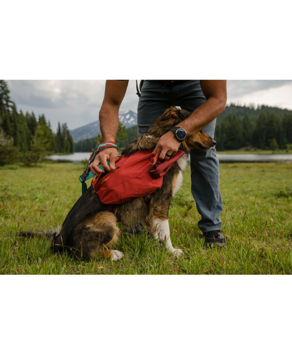Bild 3 von RUFFWEAR® Tagesrucksack Front Range™ Day Pack