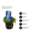 Bild 4 von Dehner Aqua Aquarienpflanzen-Set für Nano-Aquarien, 10-teilig