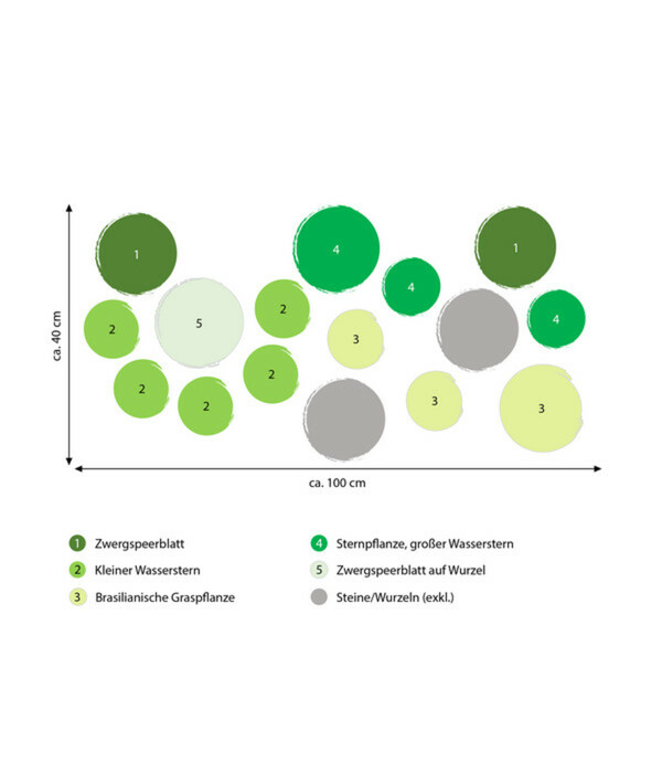 Bild 2 von Dehner Aqua Premium Aquarienpflanzen-Set für Dehner Aqua Premium ProLine 100, 31-teilig